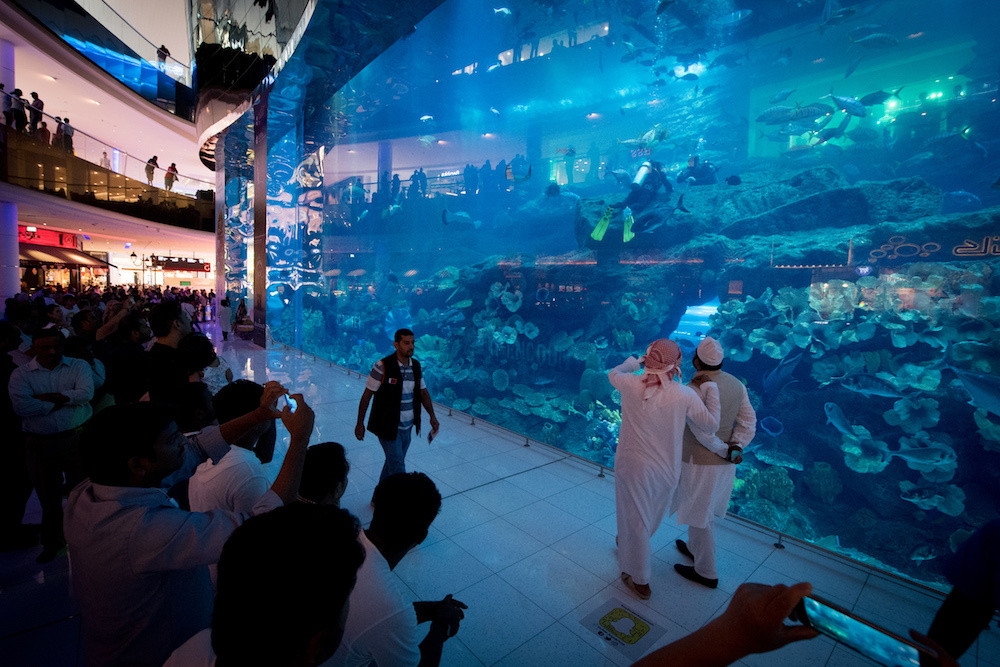 Dubai aquarium wall, with tourists looking through clear glass at a diver insider the aquarium