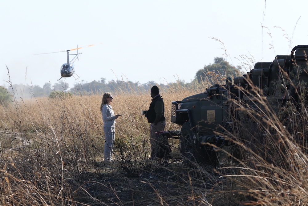 tourist and safari guide in Botswana plain with helicopter landing to administer covid test on game drive