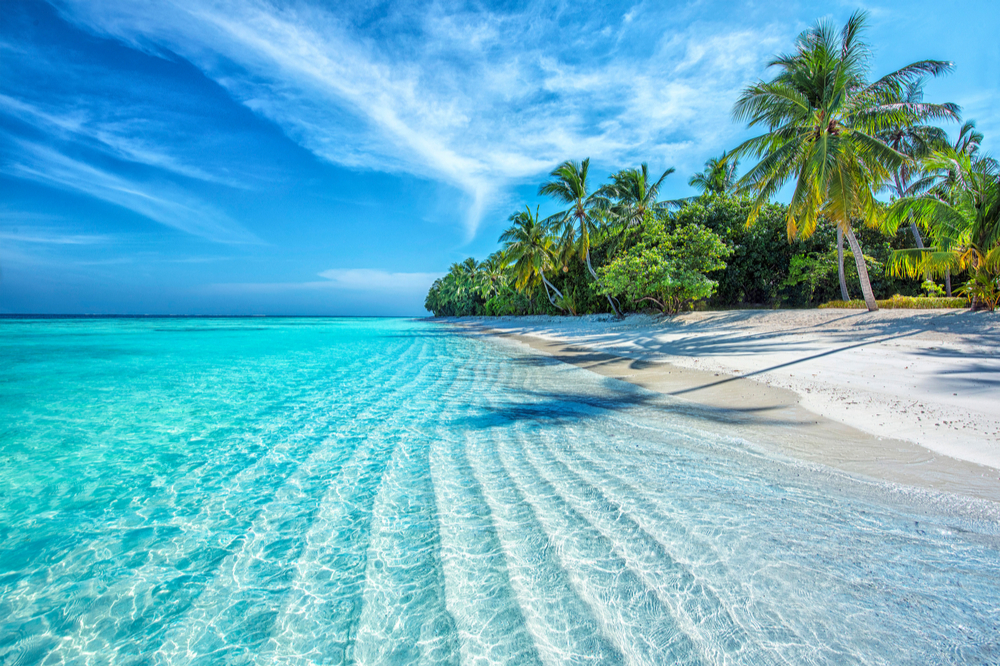 Maldives Islands Ocean Tropical Beach