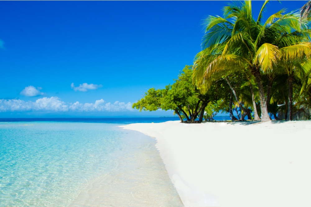 empty white sand beach with a few green trees and light turquoise water in Belize