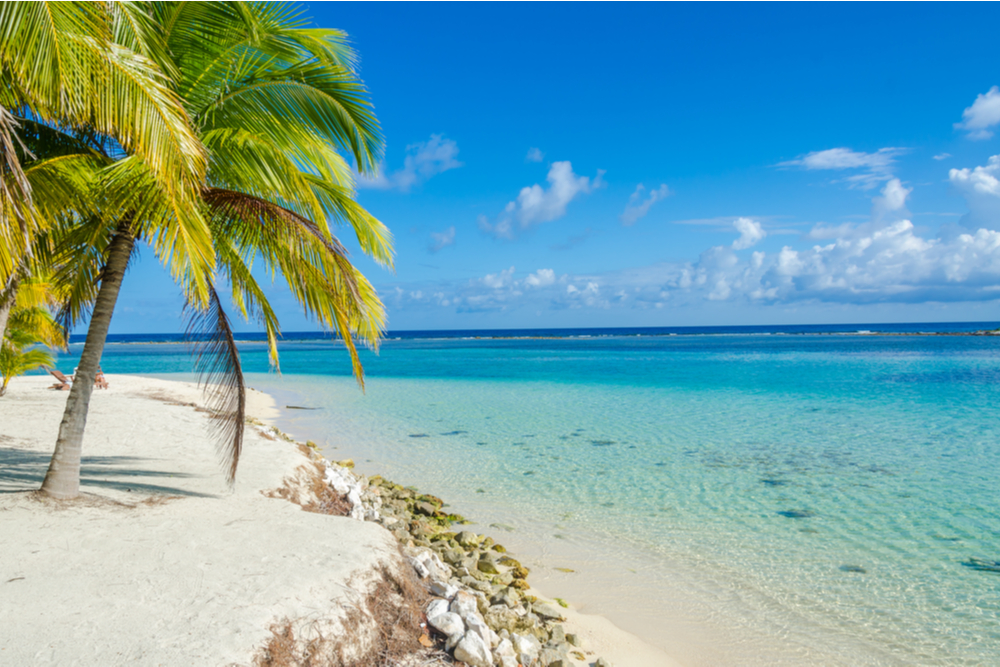 palm tree and beach overlooking turquoise Caribbean Sea South Water Caye Belize