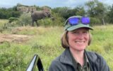 tourist woman on safari in South Africa sitting in jeep with elephant in distance