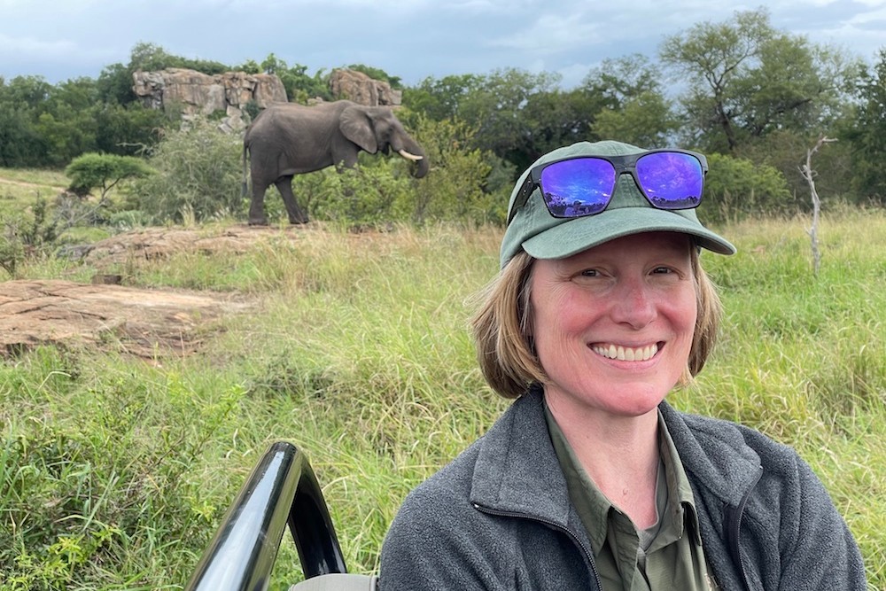 tourist woman on safari in South Africa sitting in jeep with elephant in distance
