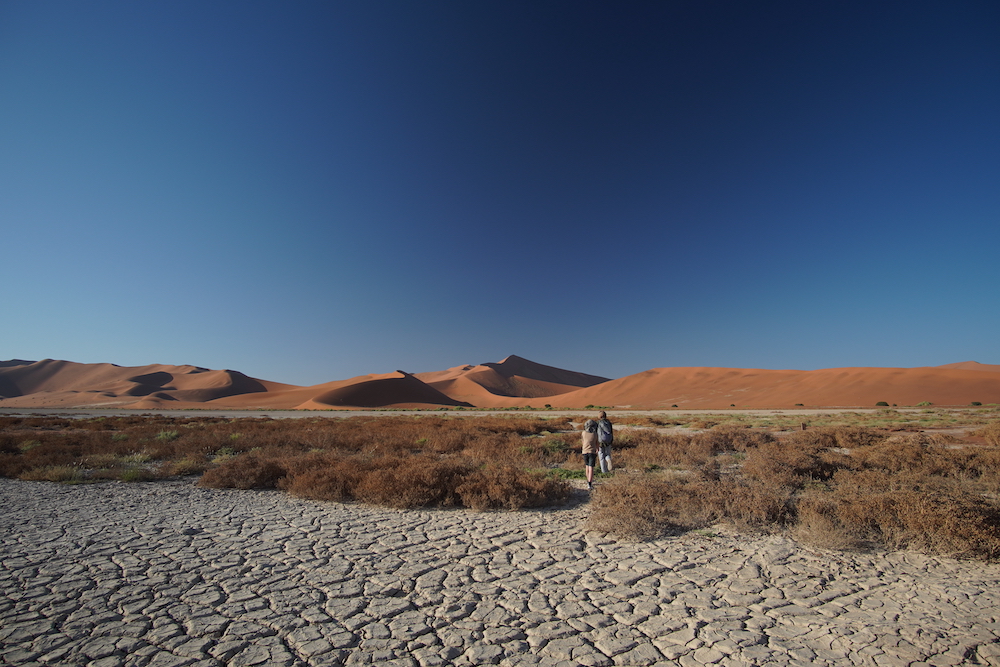 The dried clay pan of Ostrichvlei, the Big Daddy dune in the background Namibia