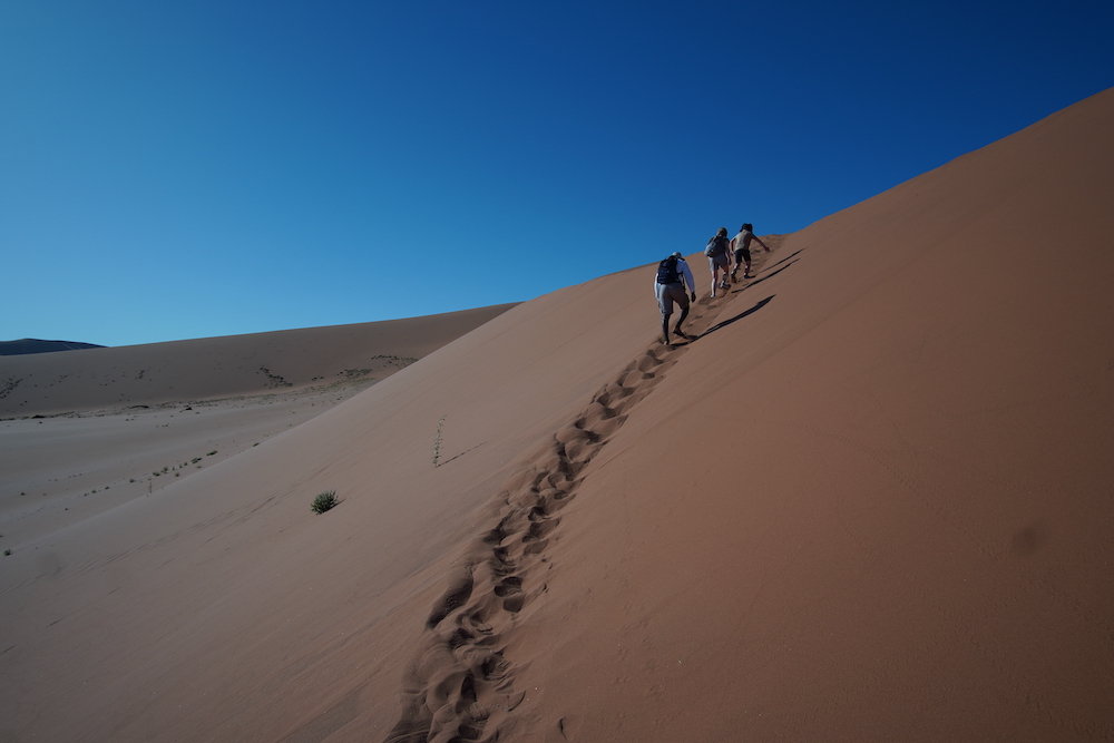 family climbing up a dune in the Namibia desert