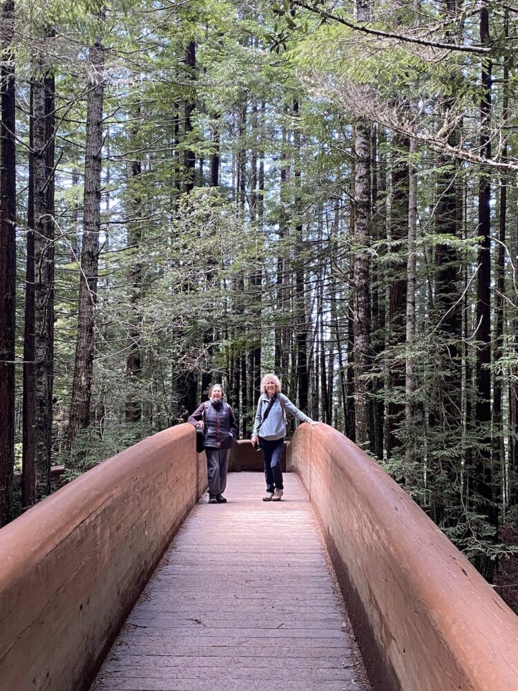 two women travelers standing on a bridge in a forest in Northern California