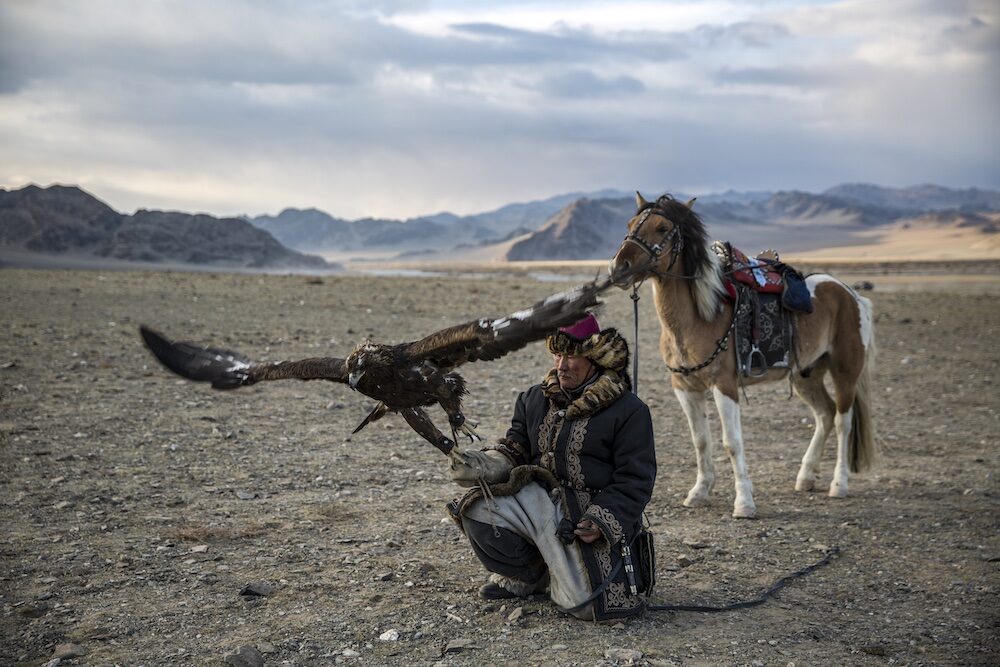 An eagle hunter in Mongolia with horse and golden eagle