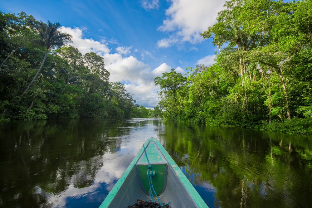 Amazon Jungles in Cuyabeno National Park, Ecuador. 