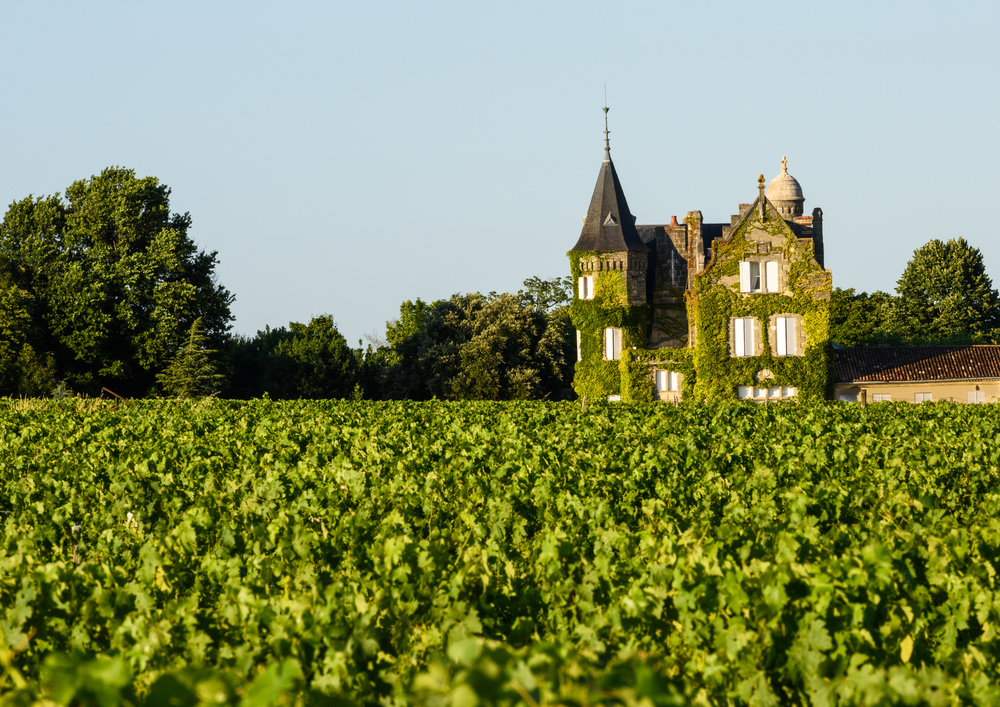 Vine-clad chateaux overlooking vineyard in Bordeaux, France.