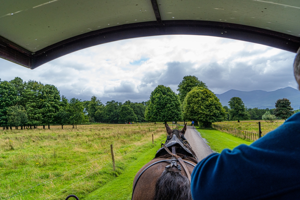 Killarney National Park with a scenic tour from Killarney Jaunting Cars.
