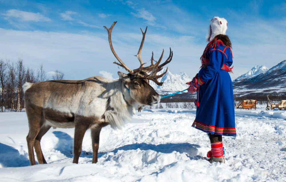 Reindeer herding with a traditional dressed Sami woman in Norway.