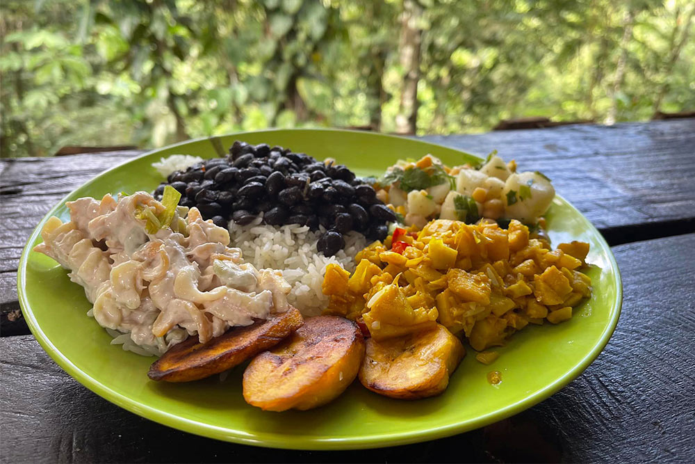 a traditional Costa Rican meal on a plate