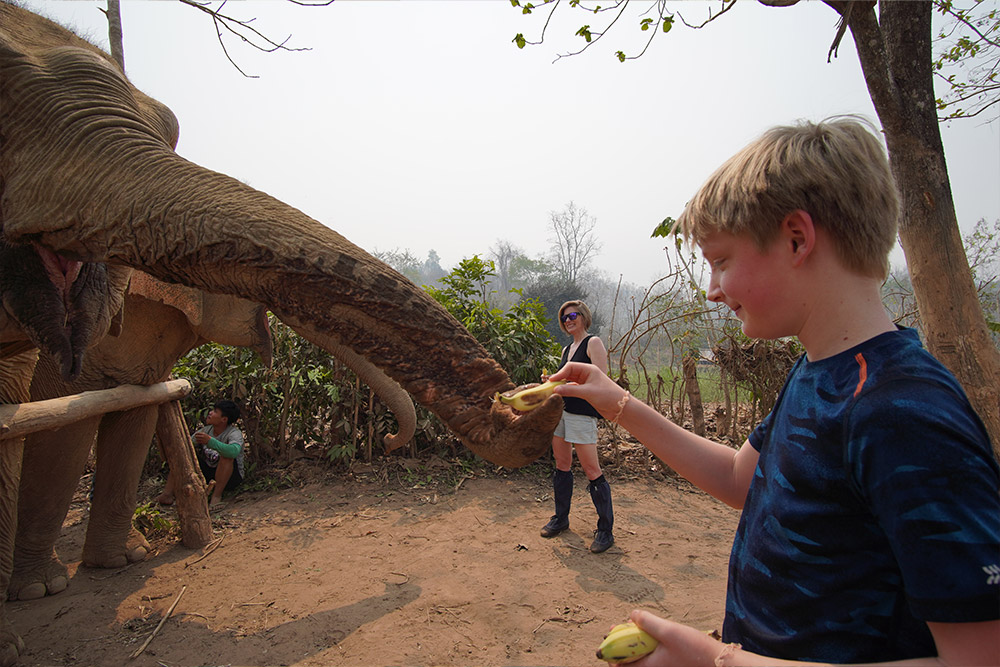 Zeke feeding elephant.