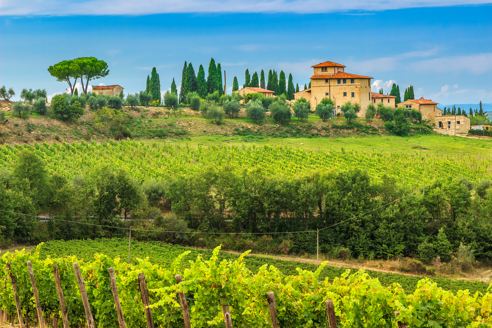 Typical stone houses with stunning vineyard in the Chianti region in Tuscany.