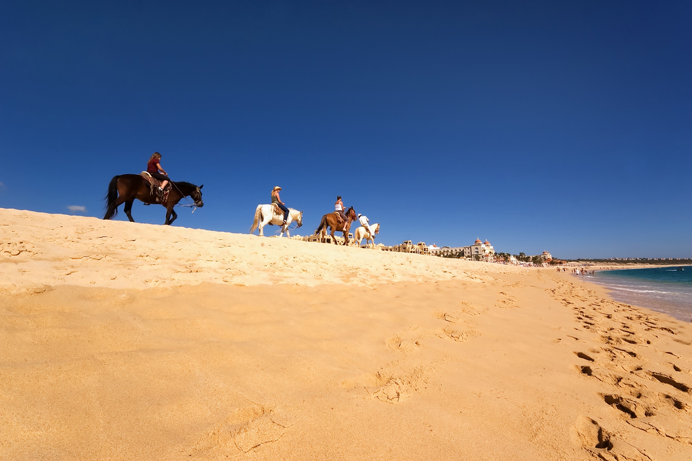 Horse riding along the beach in Los Cabos. 