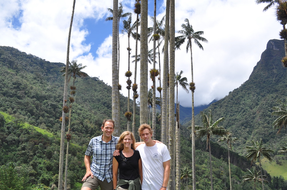 Wax Palm Trees in the Corcora Valley, Colombia