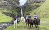 Susan Crandell and her daughter, son-in-law, and grandson riding Icelandic horses.