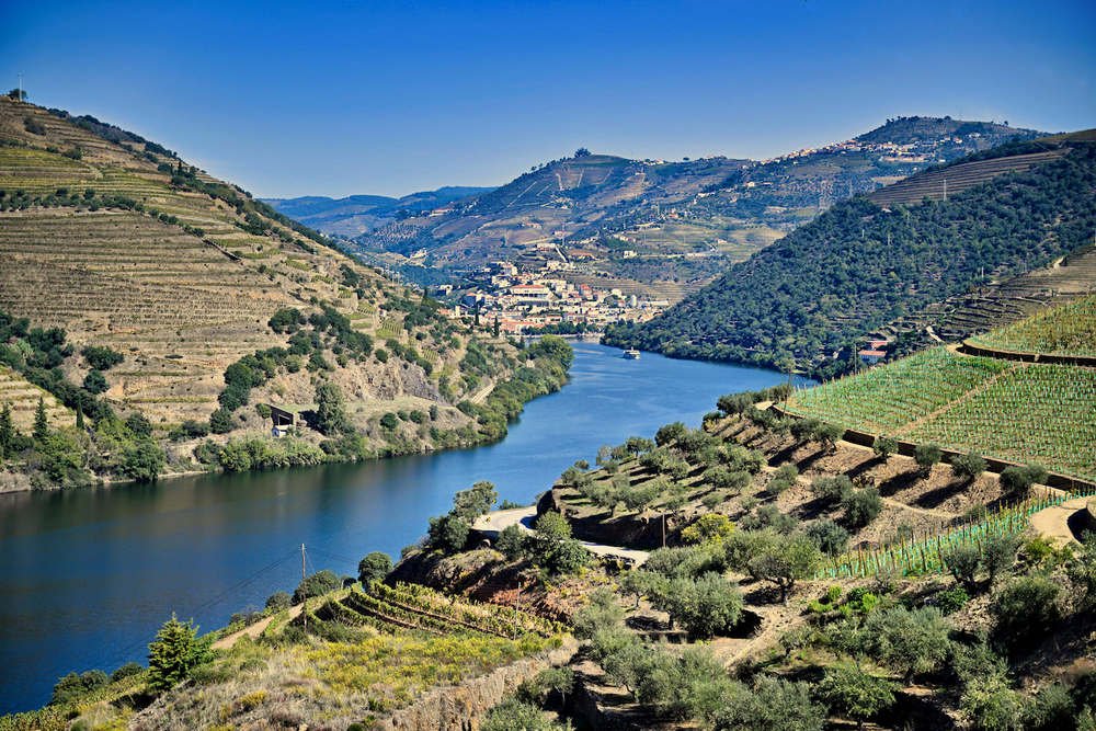 Vineyards in Douro Valley, Lisbon.