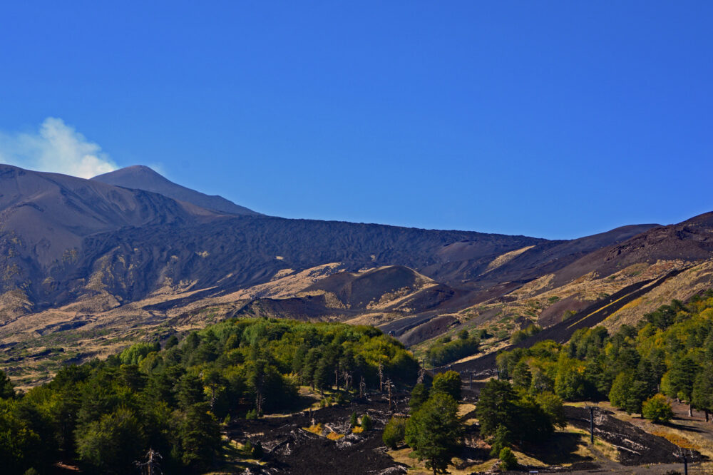 The view of Mt. Etna ecosphere, showing a smoking Mt. Etna, lava flows, regrowth, surviving trees.