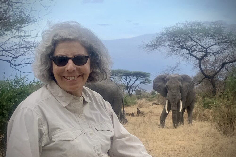 Traveler gets close to a tusker on safari in Tanzania.