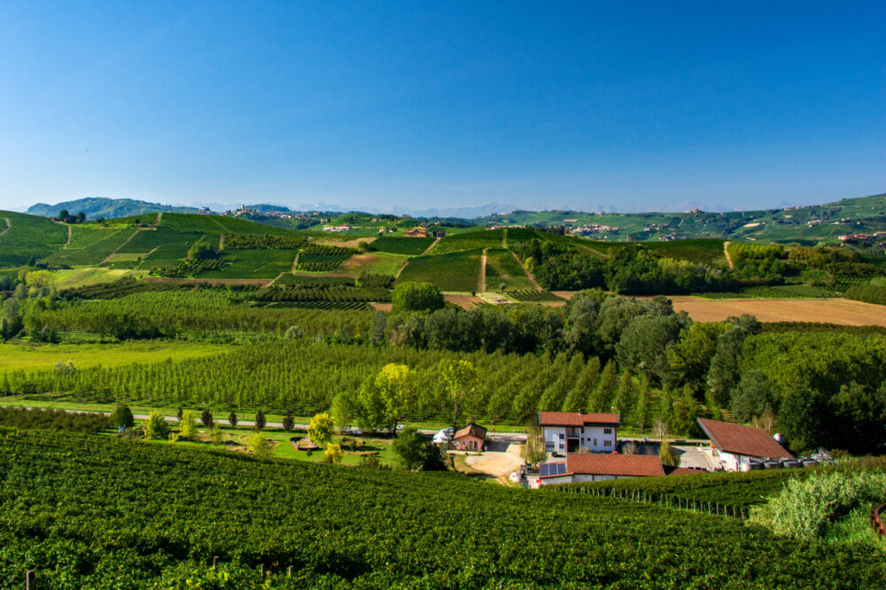 The verdant Barolo wine region in Italy.