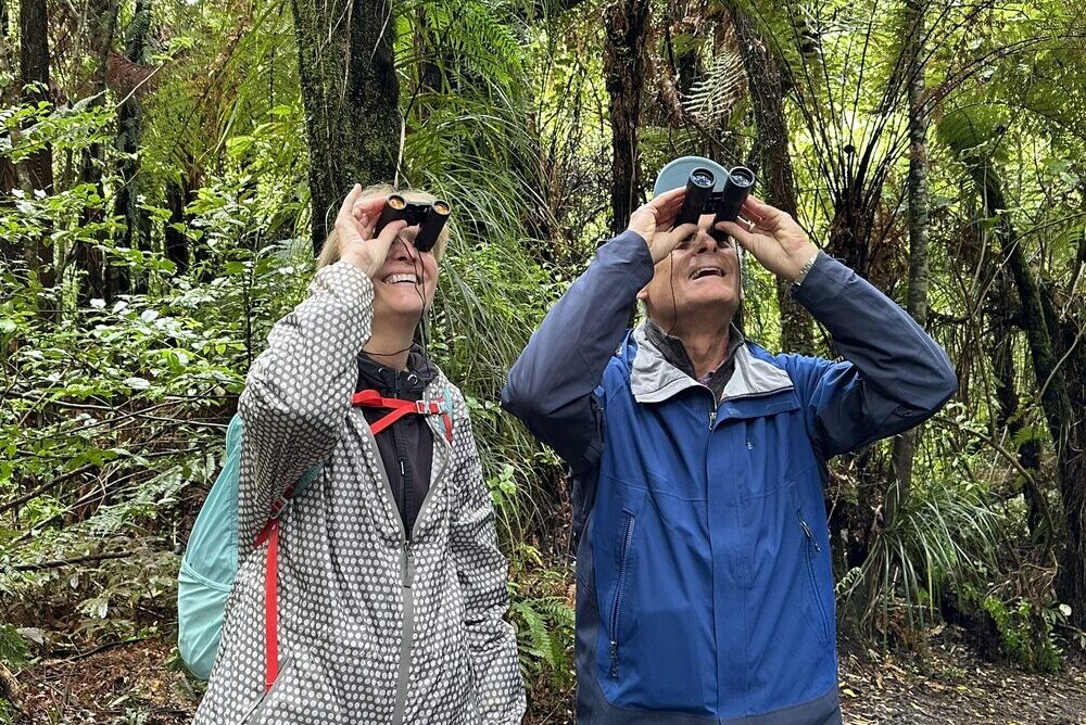 The guide taking a photo of Barbara and Larry Schoenfeld birdwatching at the Sanctuary Mountain Maungatautari ecological park, New Zealand.