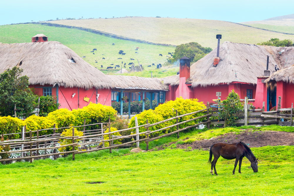 A horse eating grass near colonial hacienda