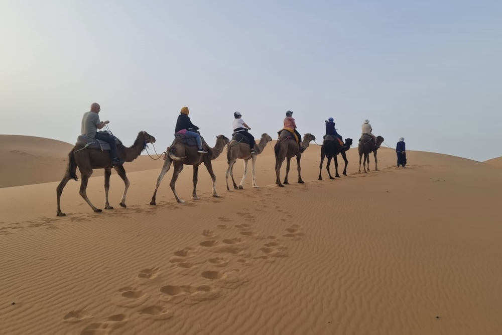 Traveler Rich Rediker and friends on a sunset camel ride in the Sahara, Morocco.