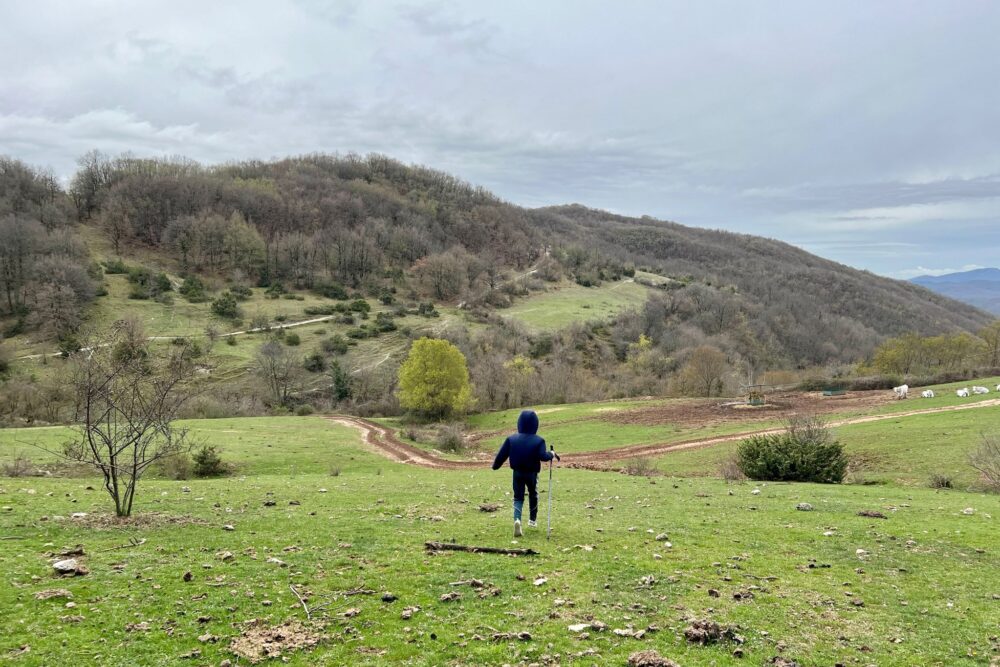 Kathryn's son frolics in the hills of Umbria during their truffle hunt, Italy.