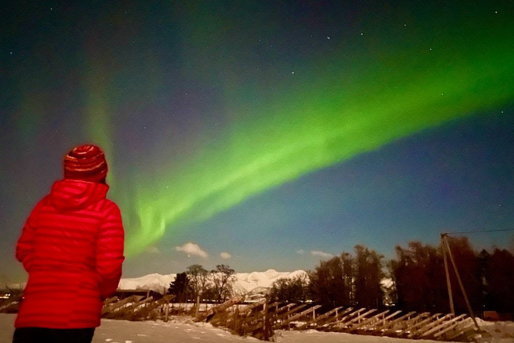 Brook Wilkinson watching the Northern Lights in Norway.