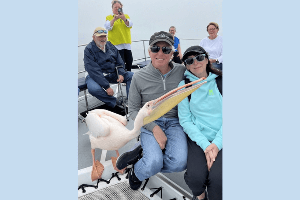 Conrad and Sandi Easton posing with a pelican, on a boat in Walvis Bay, Namibia.