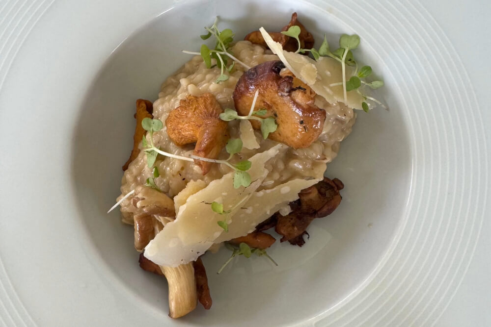 A plate of food captured by Kathy Partridge.