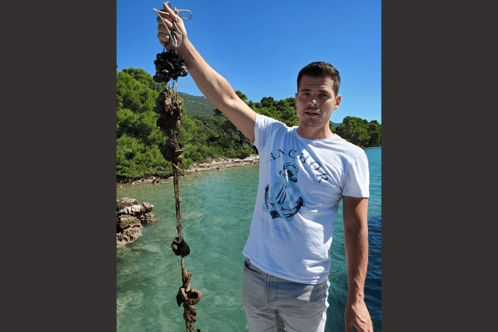 An oyster farmer holding oysters on a rope in Croatia.