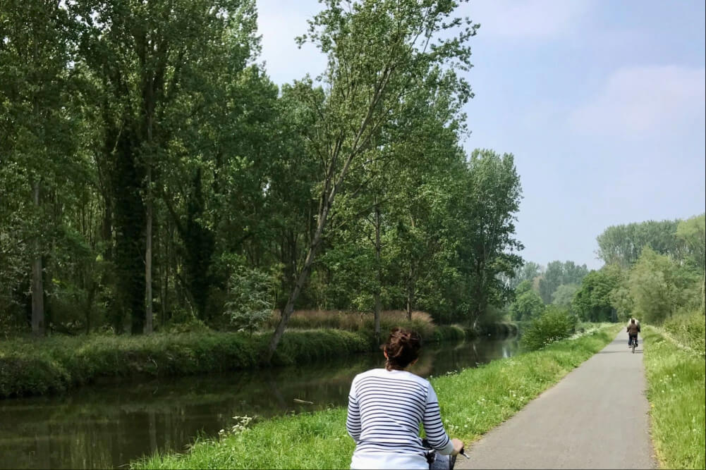People riding bikes in the countryside around Bruges, Belgium.