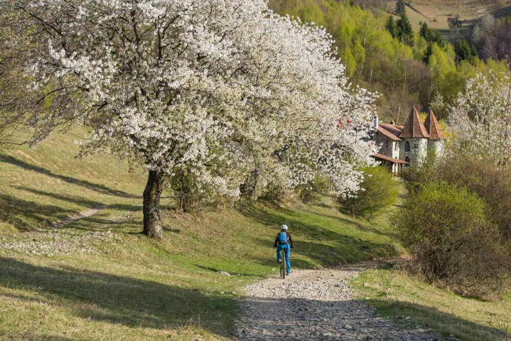 A person biking in a spring landscape in the Carpathian Mountains, Transylvania, Romania.