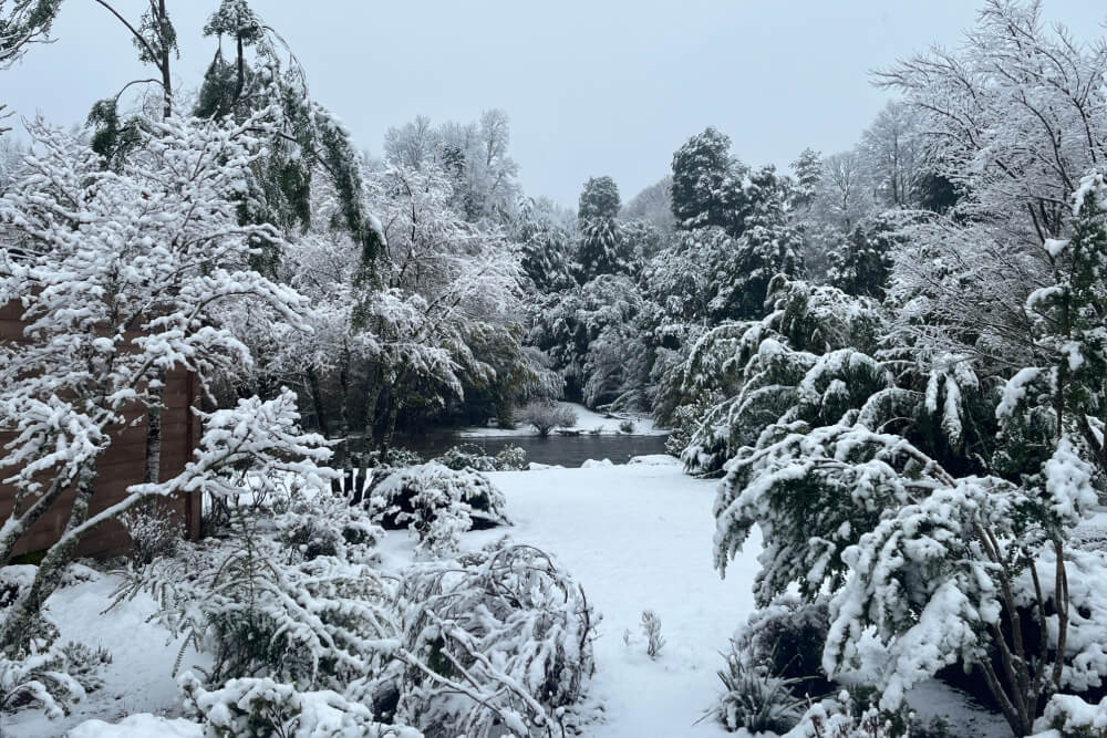 Snowy landscape in Chile's Lake District.