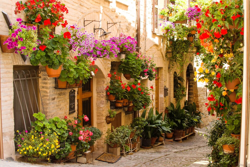 Medieval street of Spello, Italy decorated with flowers.
