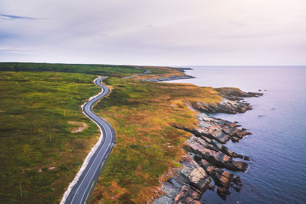 Mistaken Point, Canada: Fossils of the Oldest Creatures on Earth
