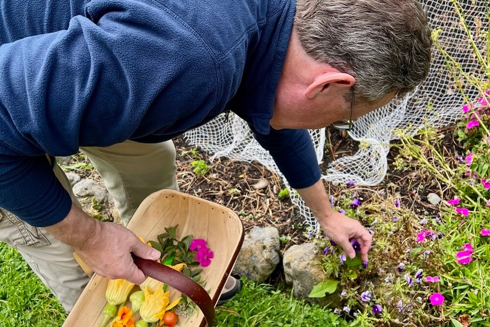 A man picking vegetables at a garden in New Zealand.