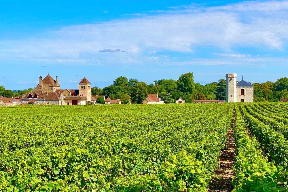Clos de Vougeot vineyards in Burgundy, France.