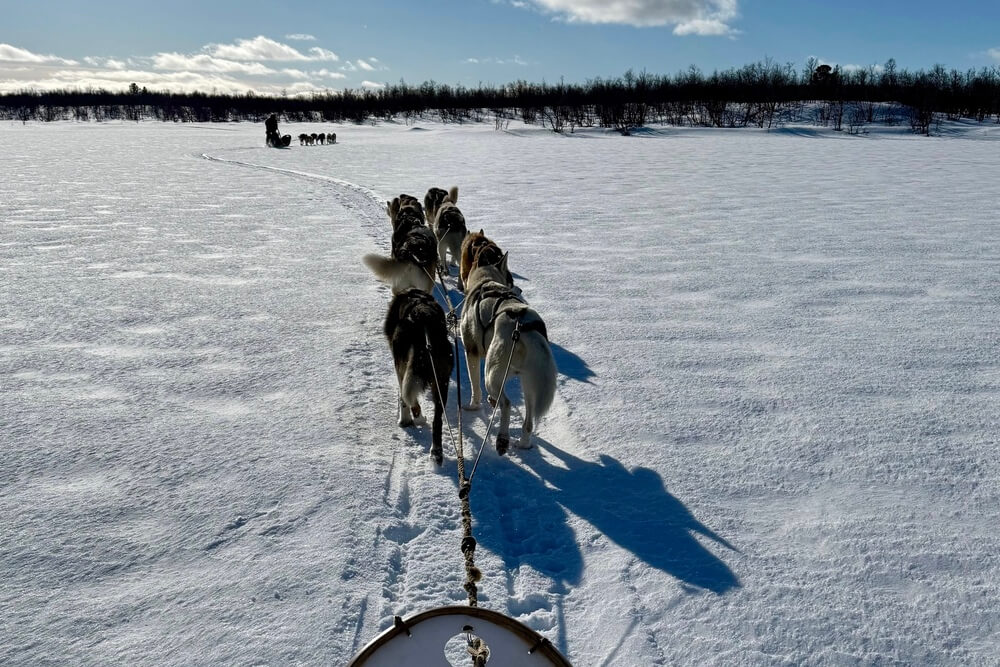 Dog sledding at Engholm Husky Lodge in Norway.