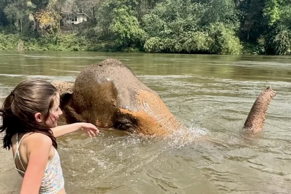 A girl swimming with an elephant in Thailand.