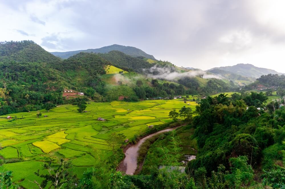 Landscape view with rice paddy fields and morning fog in Nan, Thailand.
