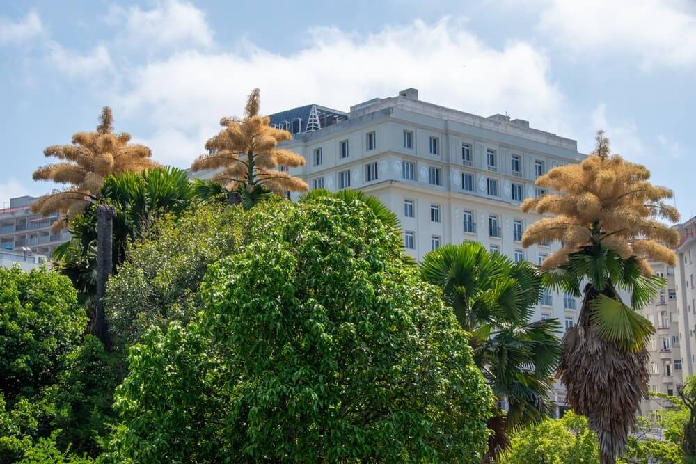 Rio de Janeiro, Brazil: Hidden Gardens of a Renowned Landscape Architect