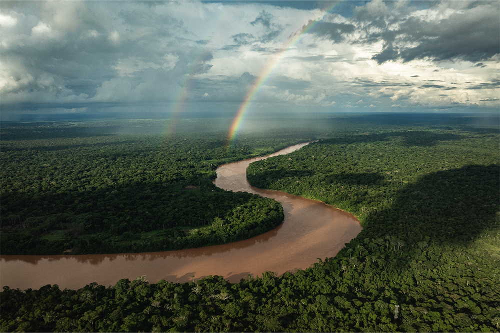 The Tambopata River going through a jungle, Peru.