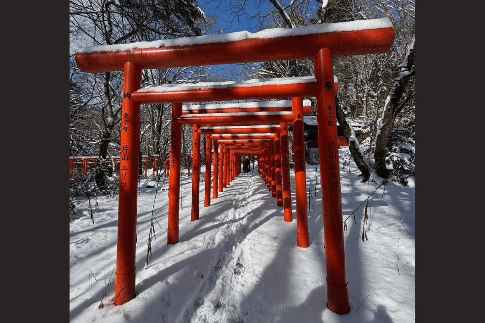 Torii gates in Japan.