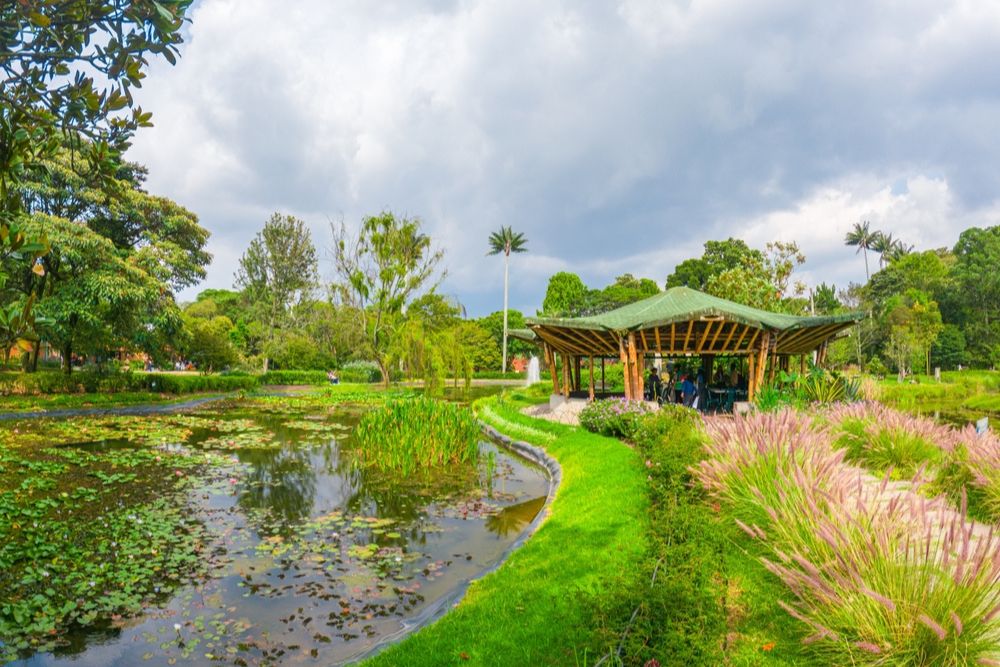 Green trees and a lake in the Bogotá Botanical Garden, Colombia.