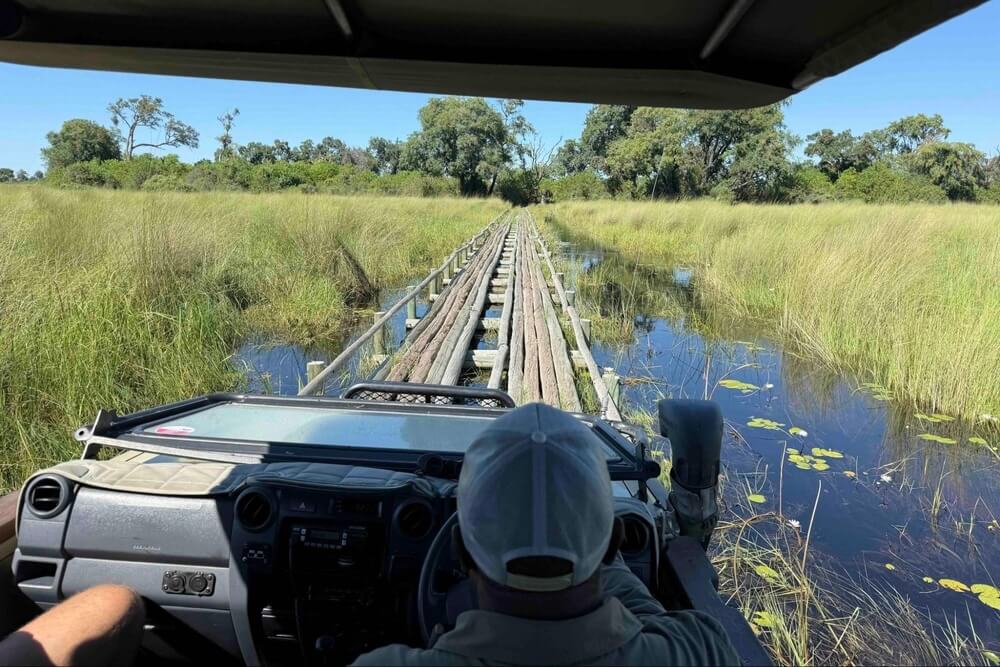 Safari vehicle crossing a wooden bridge through wetlands in Botswana.