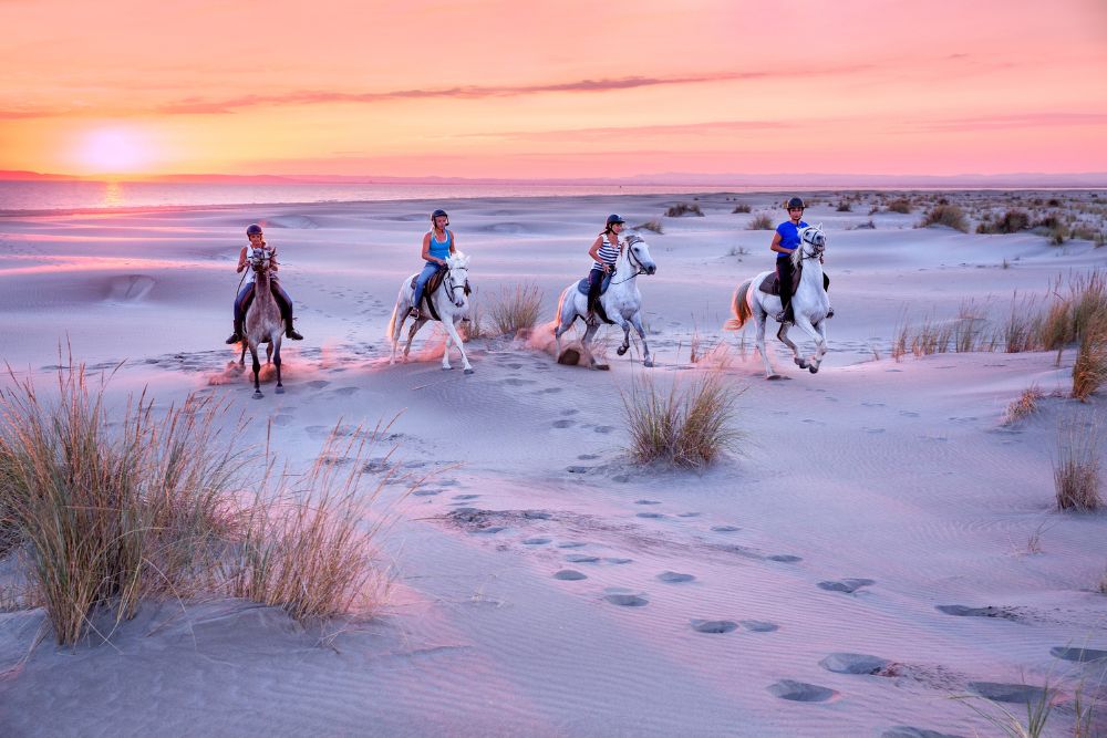 Equestrians horseback riding on the beach during sunset in the Landes, France.