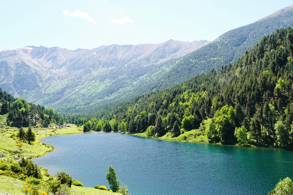 A lake and trees covering the mountain range of Pyrenees, France.